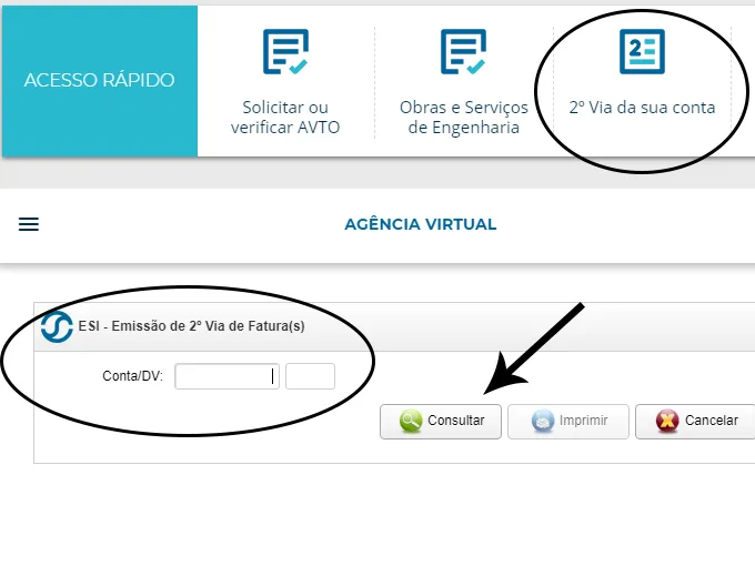Passo a passo para emitir Saneago 2 via pelo site web